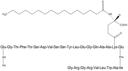 Liraglutide利拉鲁肽