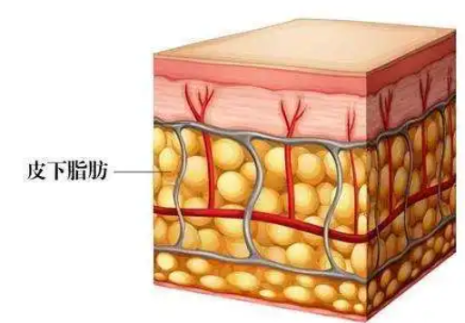 微信图片_20220919083151.png