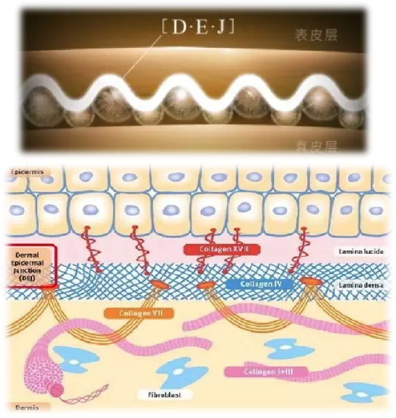 微信图片_20221014161218.png